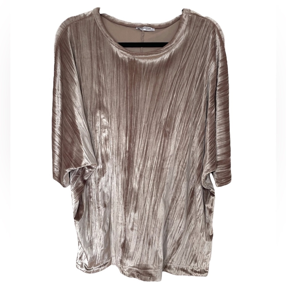 Zara Velvet Oversized Sweatshirt/top